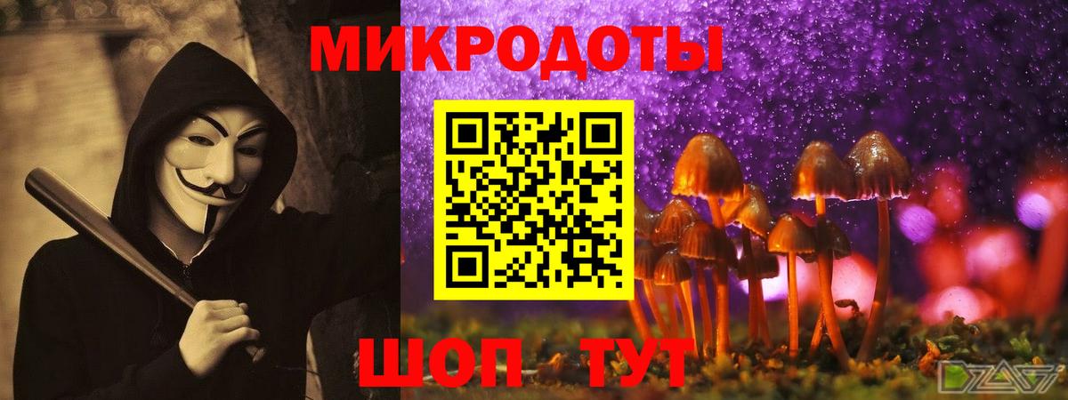 что такое наркотик  Псилоцибиновые грибы GOLDEN TEACHER  Вход с VPN  Нефтекумск 
